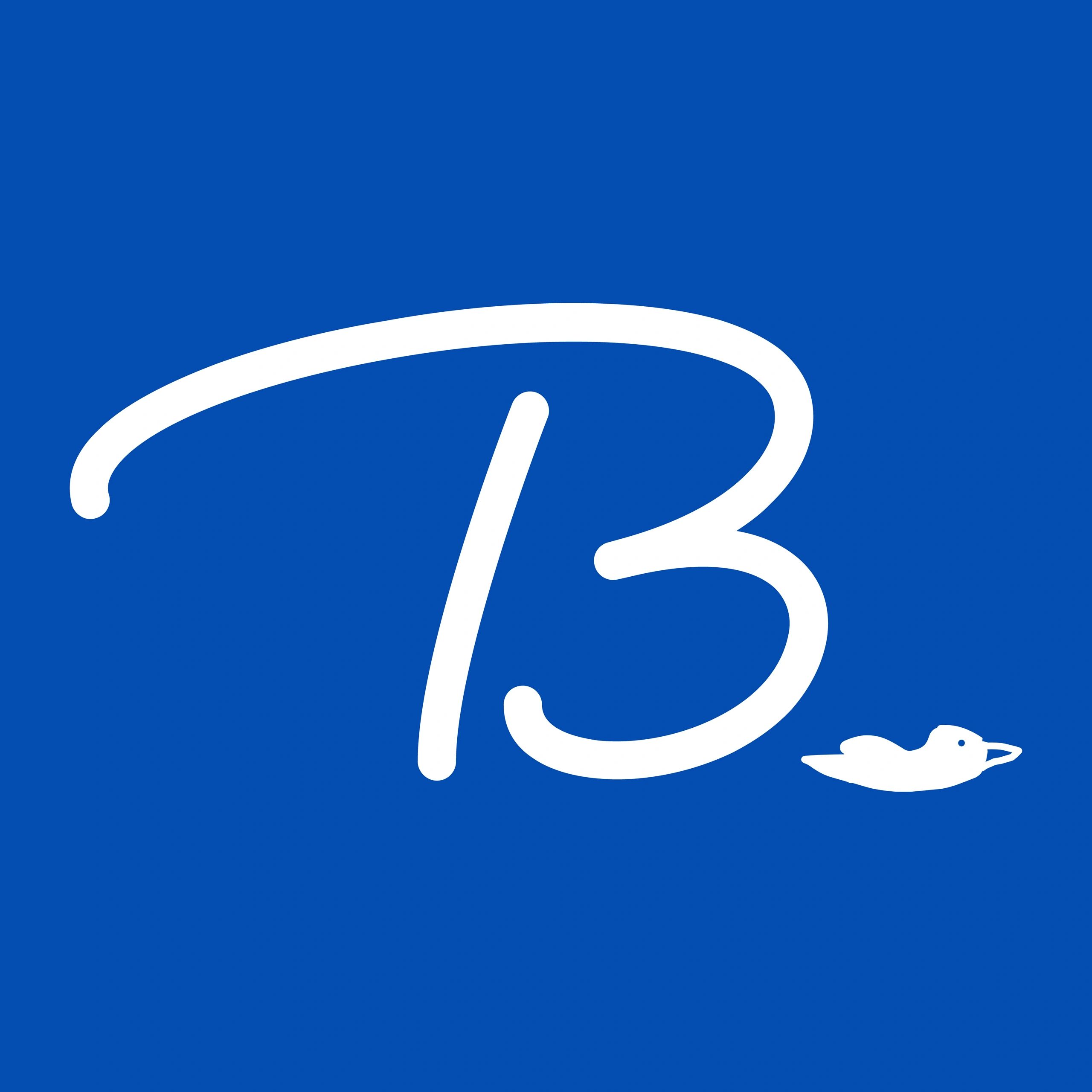 Blue Bird Marine Logo